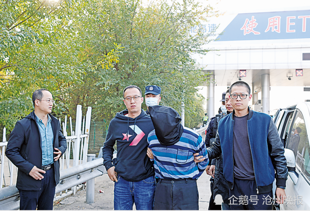 青县有多少人口_青县上伍乡哪村有古树(2)