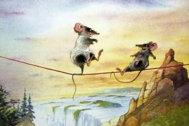 梦回幽暗，解析梦中老鼠跳跃与双影现身的深层含义