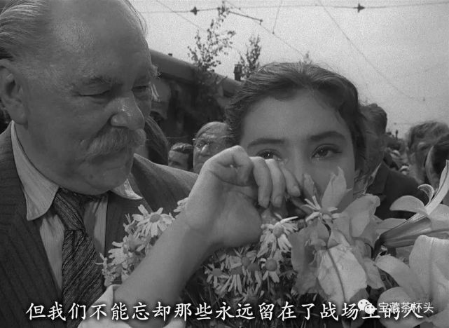 《雁南飞》战争中的爱情