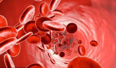 护理指南|血液系统疾病之出血临床表现_腾讯新闻