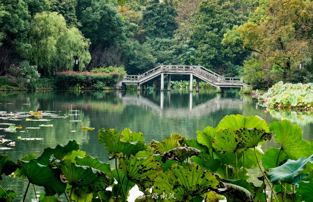 曲院风荷位于岳飞庙前面,西湖西侧,从苏堤入口进入景区,可以一路穿越