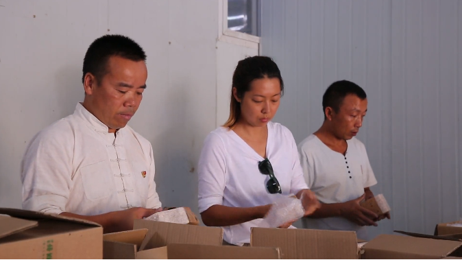 我的扶贫故事杨正熙有机种植旅游带洋洞村民致富奔小康