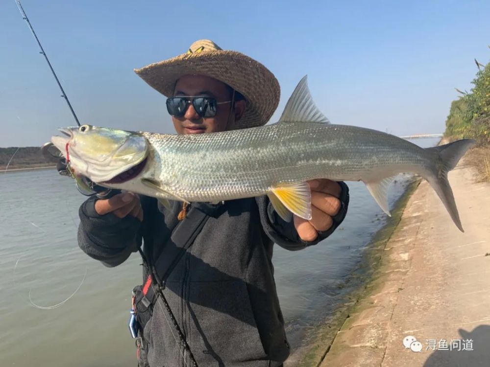 【有福利】浔鱼问道▕运河支流,阿珂作钓鳡鱼炸水不咬