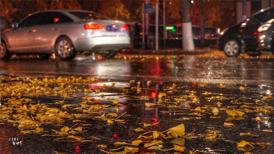 我想带你在丹东的街头走一走,在深秋的雨夜,它美得令人感动
