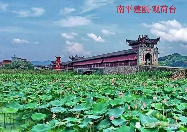 建阳城区人口_南平市建阳城区图片