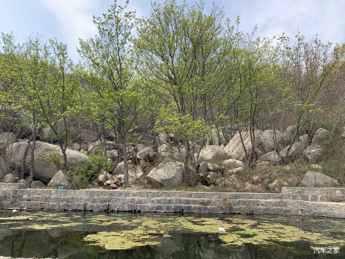一起去邹城鸿山森林公园,邂逅春日森林氧吧