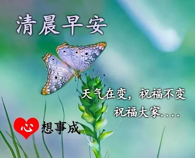 开启的瞬间幸福洒向正在看短信的您,愿您及家人永远幸福,天天快乐!