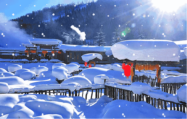 雪乡|东北|小鸡