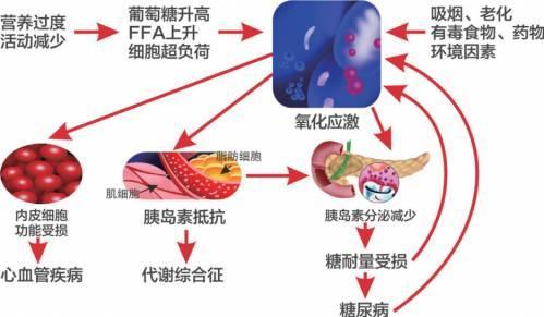 体内gdp缺乏_缺乏安全感图片(2)