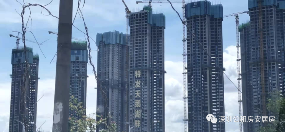 天鹅湖畔花园价格备案: https://amr.sz.gov.