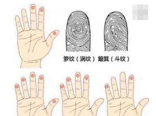 "中国相术也包括手指斗,有几个斗斗人有福气呢?手上有斗代表什么