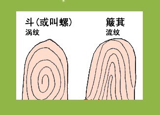 你的手上有几个斗?有几个斗的人最富有?看看有你吗?