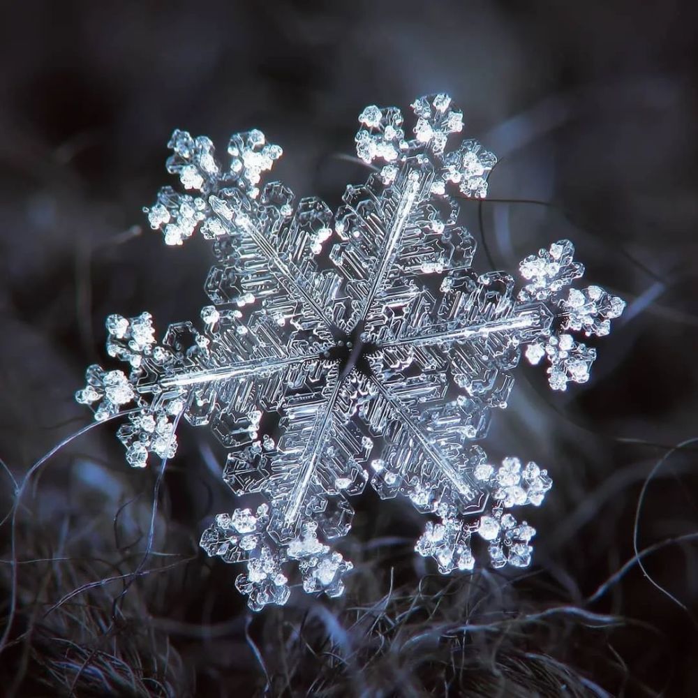 他用一部烂相机花了10年时间只拍一朵雪花当照片放大1000万倍令人咋舌