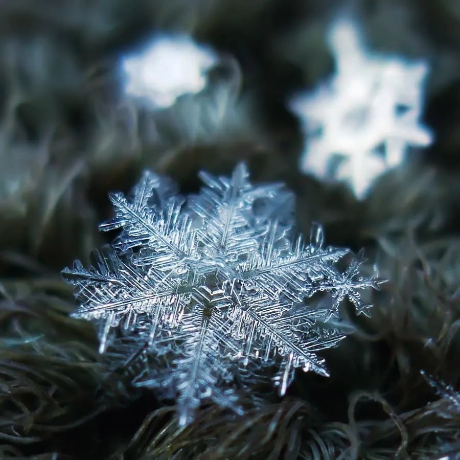 他用一部烂相机,花10年时间只拍一朵雪花,当照片放大1000万倍,令人