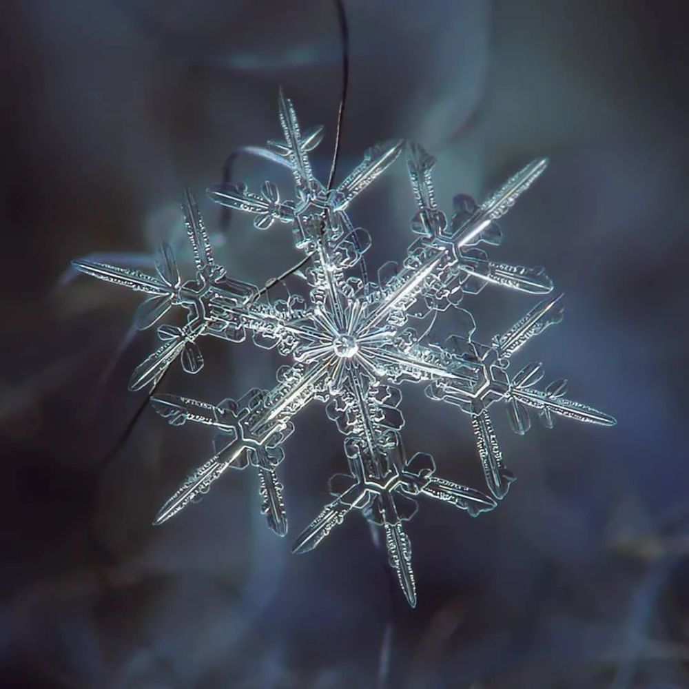 他用一部烂相机,花10年时间只拍一朵雪花,当照片放大1000万倍,令人