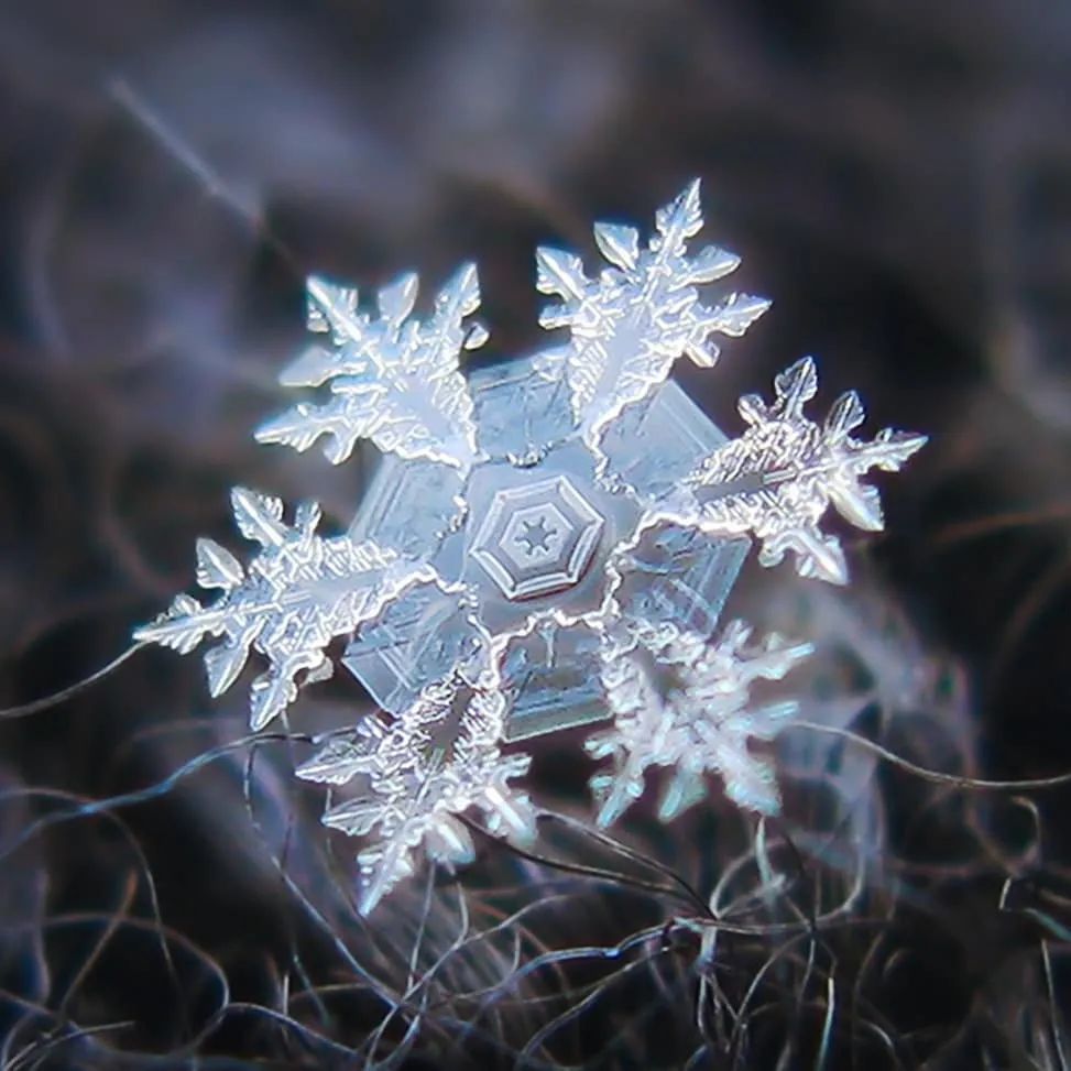 他用一部烂相机,花10年时间只拍一朵雪花,当照片放大1000万倍,令人