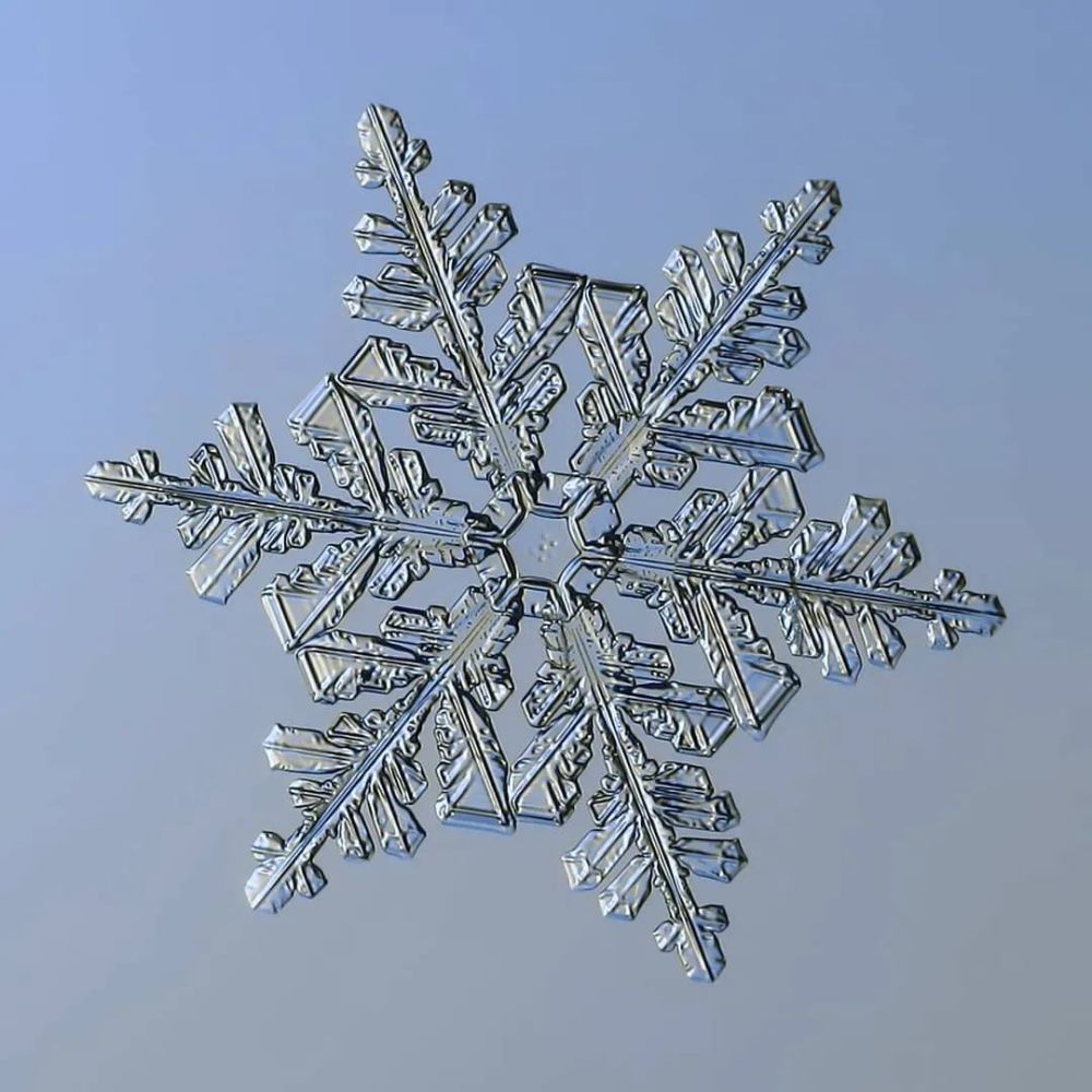 雪花它们完美无瑕千姿百态千变万化在大自然里完全找不到相同的两片