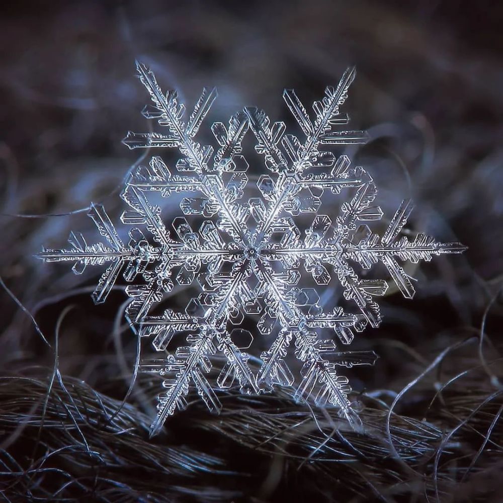 他用一部烂相机,花10年时间只拍一朵雪花,当照片放大1000万倍,令人