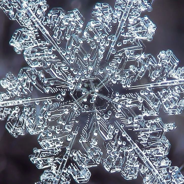 他用一部烂相机花了10年时间只拍一朵雪花当照片放大1000万倍令人咋舌