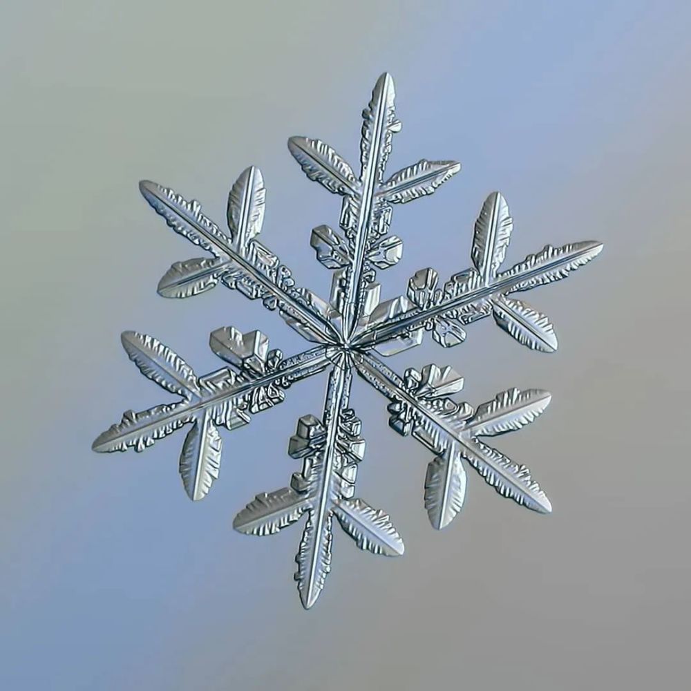他用一部烂相机,花10年时间只拍一朵雪花,当照片放大1000万倍,令人