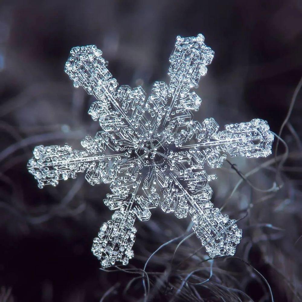 他用一部烂相机,花10年时间只拍一朵雪花,当照片放大1000万倍,令人