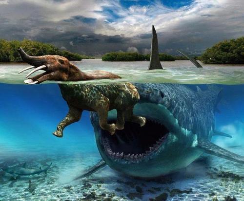 巨齿鲨生存在什么年代 巨齿鲨大约生活在2800万年--150万年前,它的