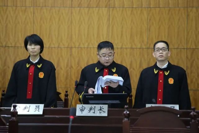铜陵公开宣判一涉黑案主犯获刑二十五年