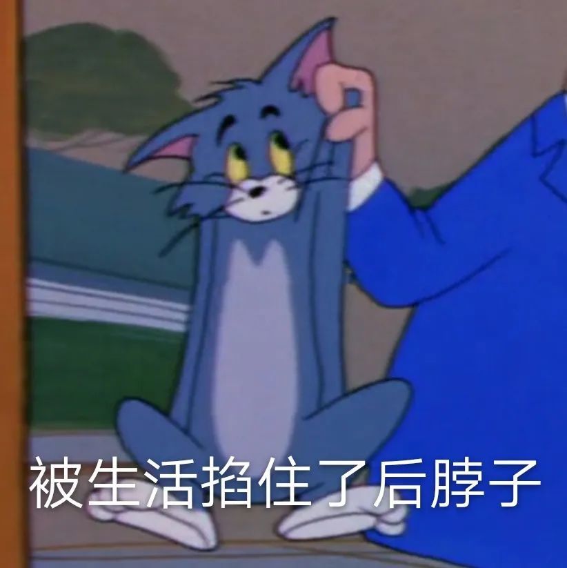 猫和老鼠表情包:被生活掐住了后脖子