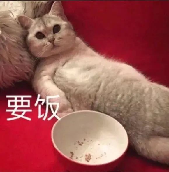 现在再听起来也不会过时 意思就是找工作很艰难 "揾食揾食" 顾名思义