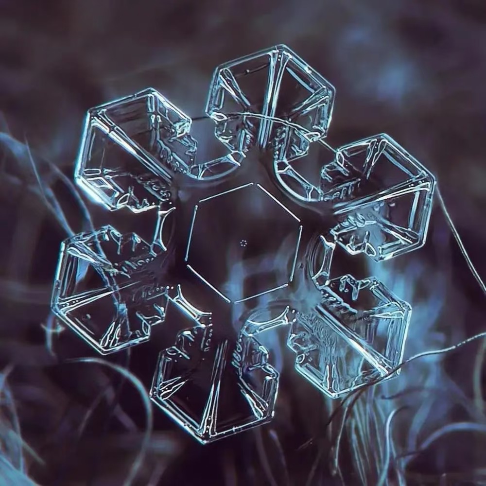 俄罗斯摄影师花了十年时间用放大13000万倍的相机拍到的雪花照片!
