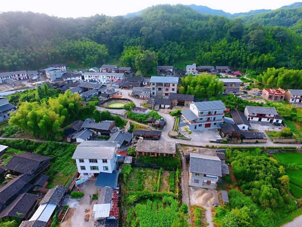 苎畲村:中国传统村落的乡村振兴之路