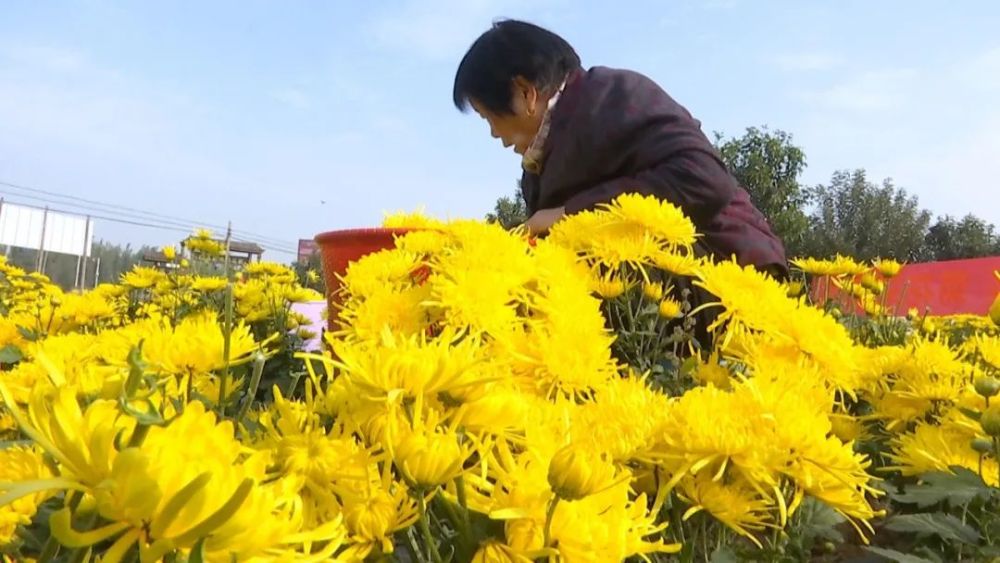 李台村人口_人口普查