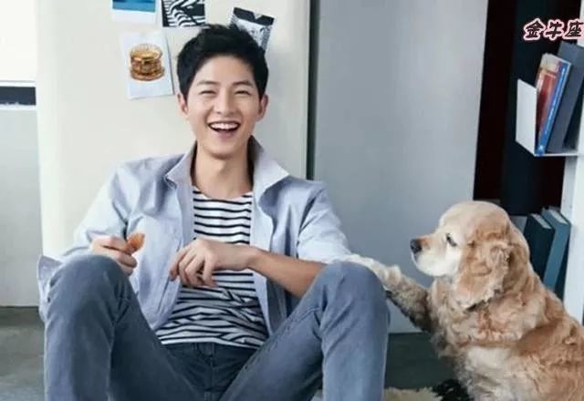 金牛座男生跟小孩一样吗 金牛座的男人和金牛座的女人爱情和吗