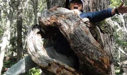 印度的食人树真实存在?为何科学家们三缄其口