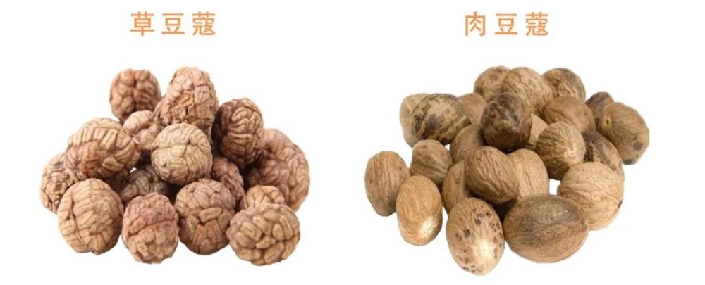 "豆蔻年华"中的豆蔻是哪一种豆蔻?