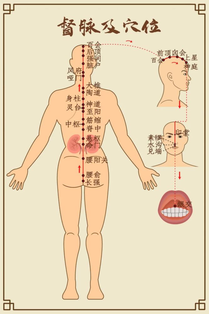 人体十四经络高清大图