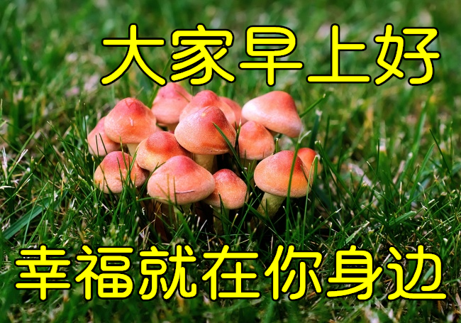 2021年11月14日清晨早上好问候祝福动态表情图片最新早安问候祝福图片