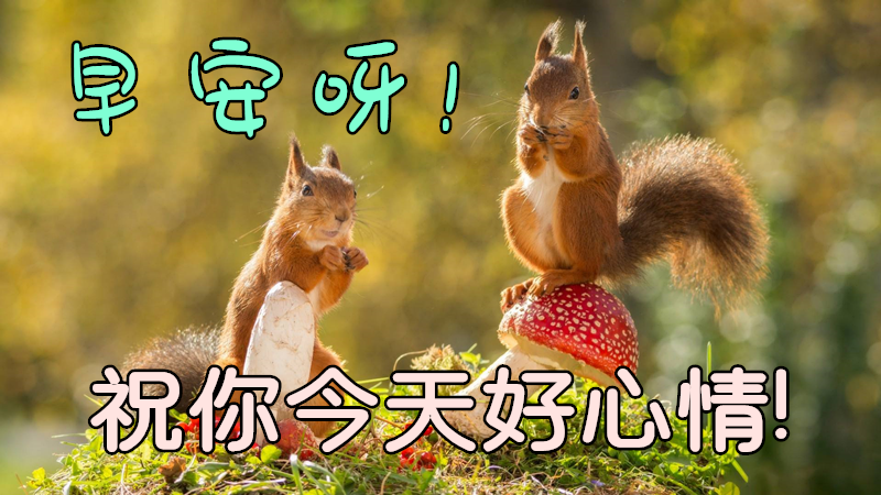 2021年11月14日清晨早上好问候祝福动态表情图片最新早安问候祝福图片