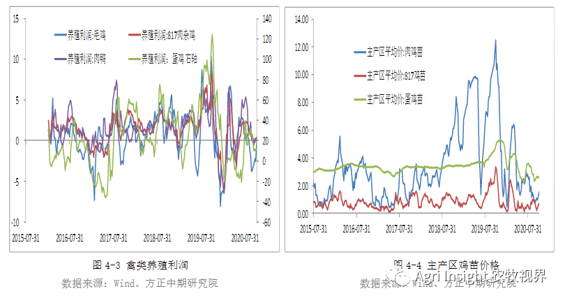 鸡蛋人均消费_鸡蛋卡通图片(2)