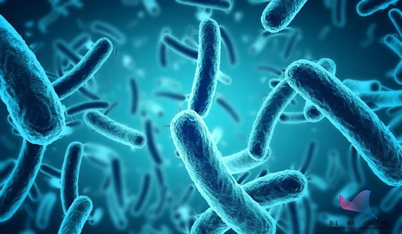 沙门氏菌感染:主要通过被污染的食物和餐具 食物加工制作过程中也