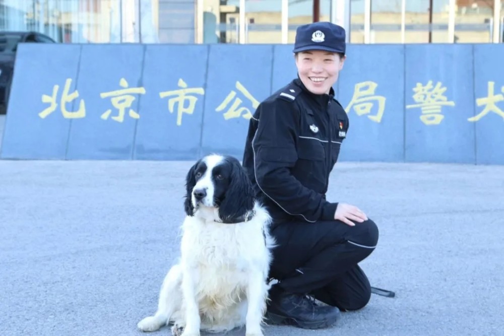 当呆萌警犬遇到警花,中间会擦出什么样的火花?