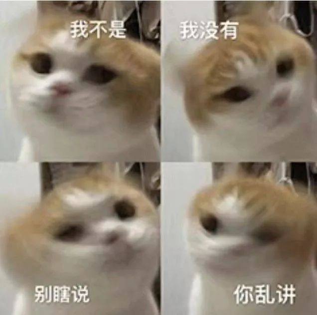 可爱猫咪表情包接下来你是不是要凶我了