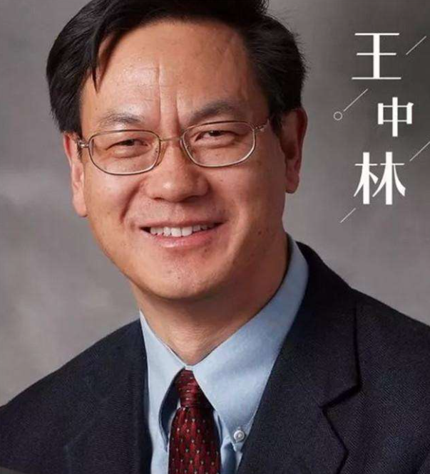 我国顶尖科学家王中林:从一个农村娃,成为了顶尖科学家!