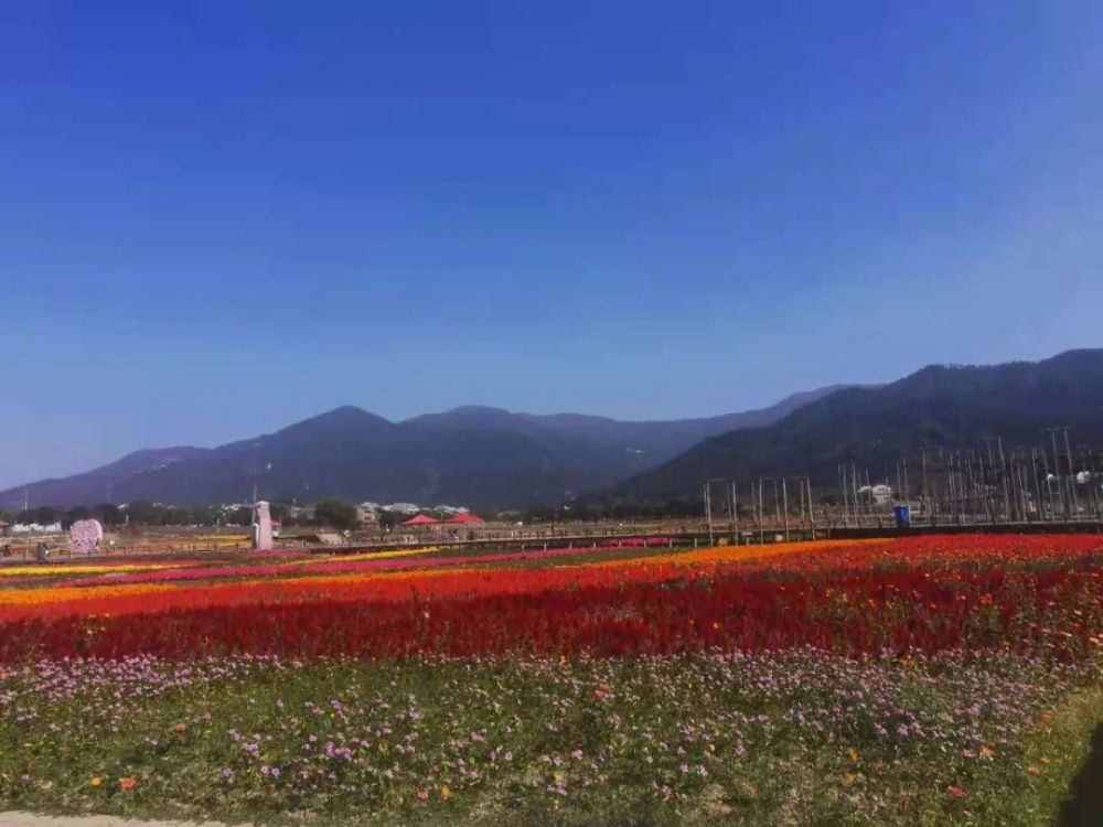 奉新县有多少人口_奉新县受伤考生(2)