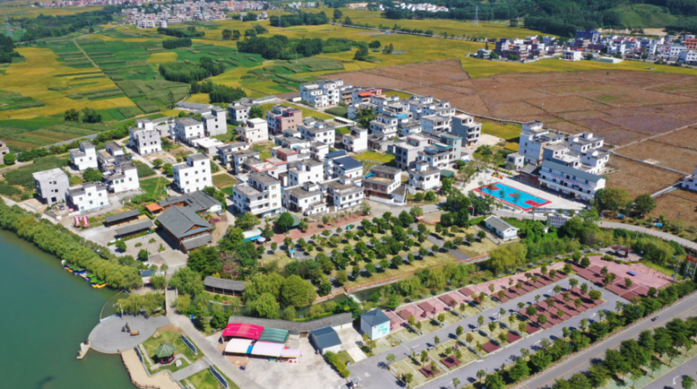 贵屯村人口_人口普查(3)