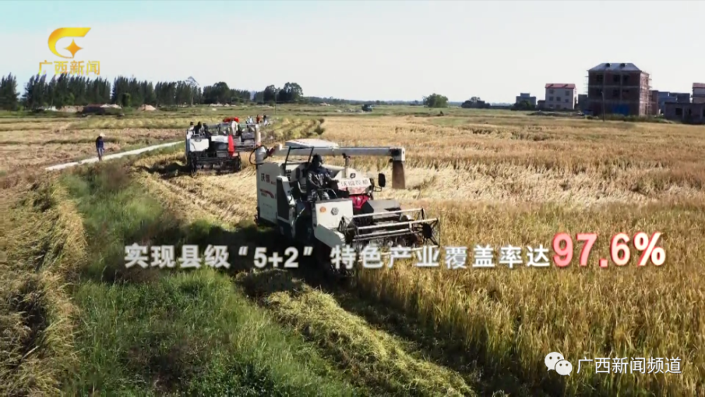 广西东兴市2019GDP_广西东兴市街道图片(3)