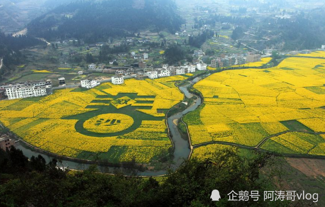 在安顺市哪个县人口排名第一_安顺市第一中学校服