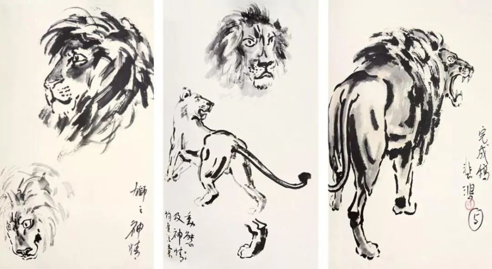 狮子就是徐悲鸿直接用来表达对时事态度的典型形象.