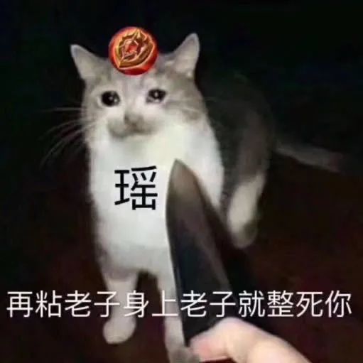 王者表情包|王者猫狗搞笑表情包～别废话,上号!