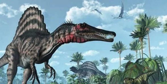 我们纵观整个恐龙时代,巨型的肉食恐龙有很多,但几乎没有可以战胜